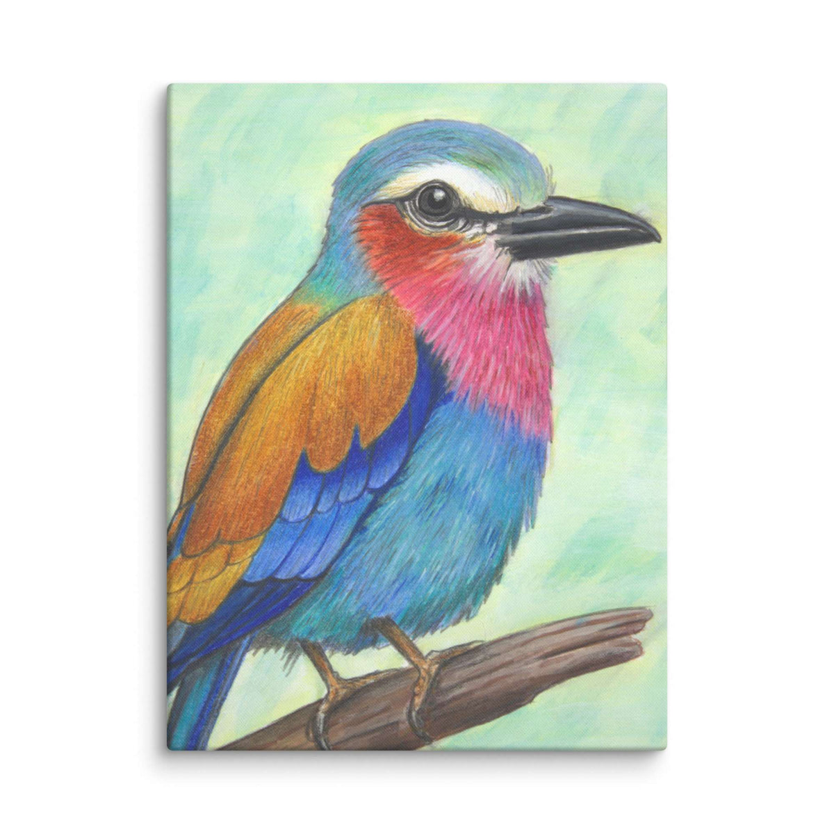 Perch of Radiance Canvas Print (No Frame), wildlife art by Arco