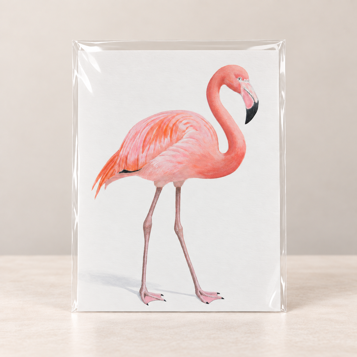 Grace in Pink Flsmingo Limited Edition Print | Wildlife Art by Arco