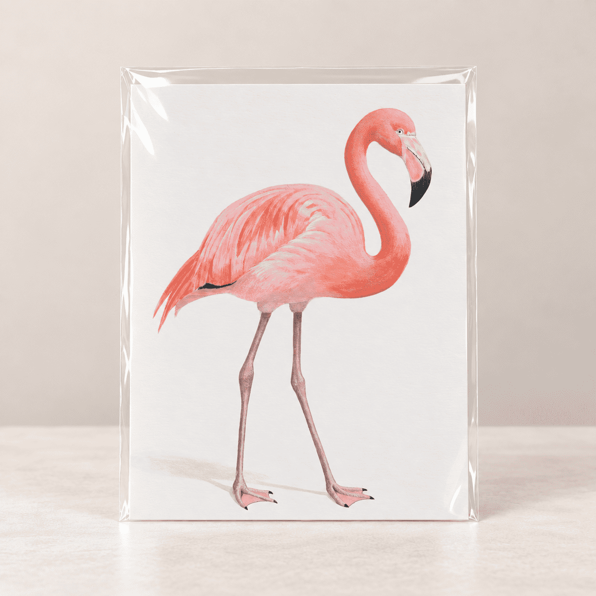 Grace in Pink Flamingo Limited Edition Print – view 2, wildlife art by Arco