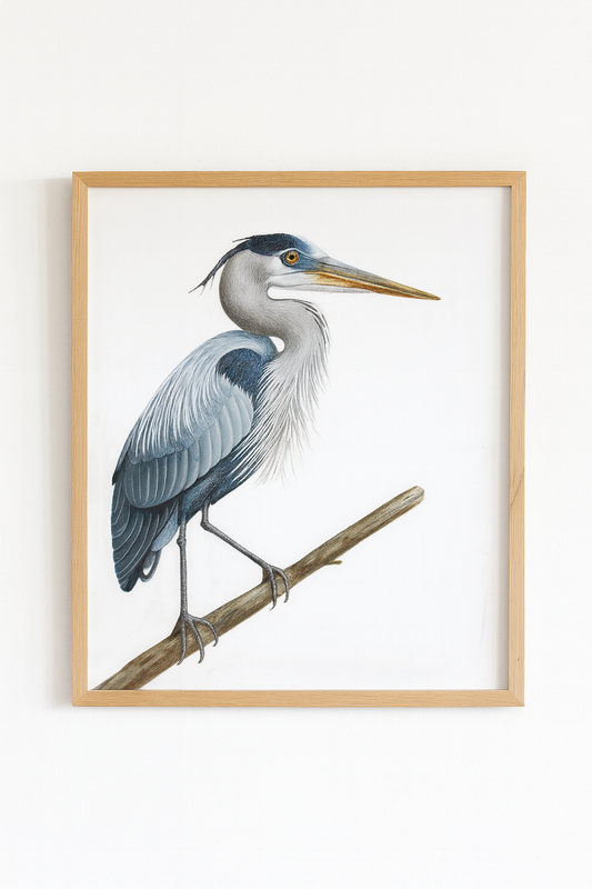 Framed artwork of a heron on a branch against a white background
