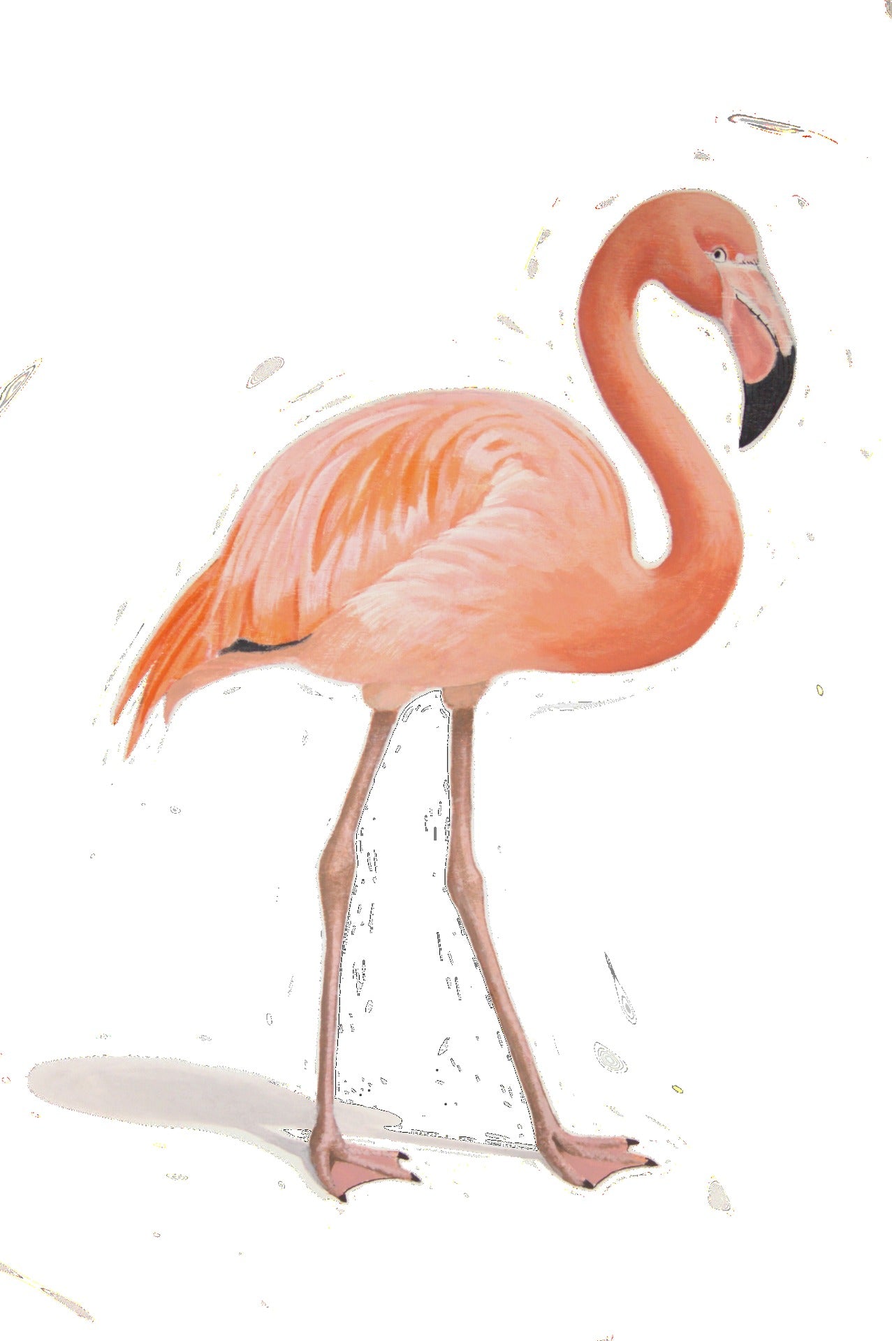 Grace in Pink 18"x24" Limited Edition Print