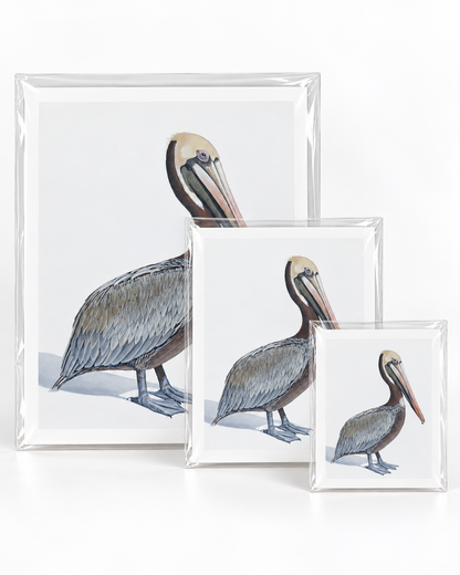 Coastal Stillness Original Pelican Artwork Pelican Limited Edition Print | Wildlife Art by Arco
