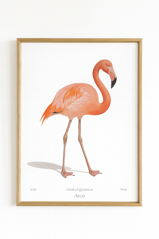 Framed artwork of a pink flamingo on a white background