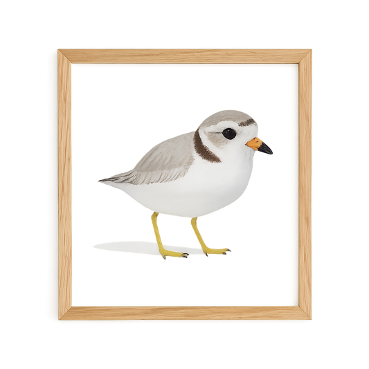 Framed artwork of a bird on a white background
