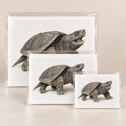 Old Soul Original Limited Edition Print | Wildlife Art by Arco