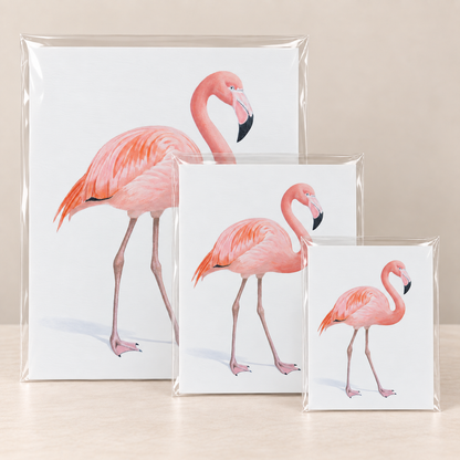 Grace in Pink Flsmingo Limited Edition Print | Wildlife Art by Arco