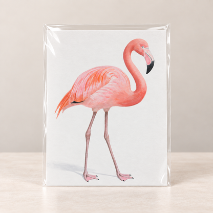 Grace in Pink Flsmingo Limited Edition Print | Wildlife Art by Arco