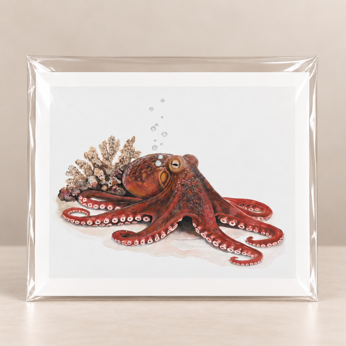 Quiet Intelligence Octopus Limited Edition Print | Wildlife Art by Arco
