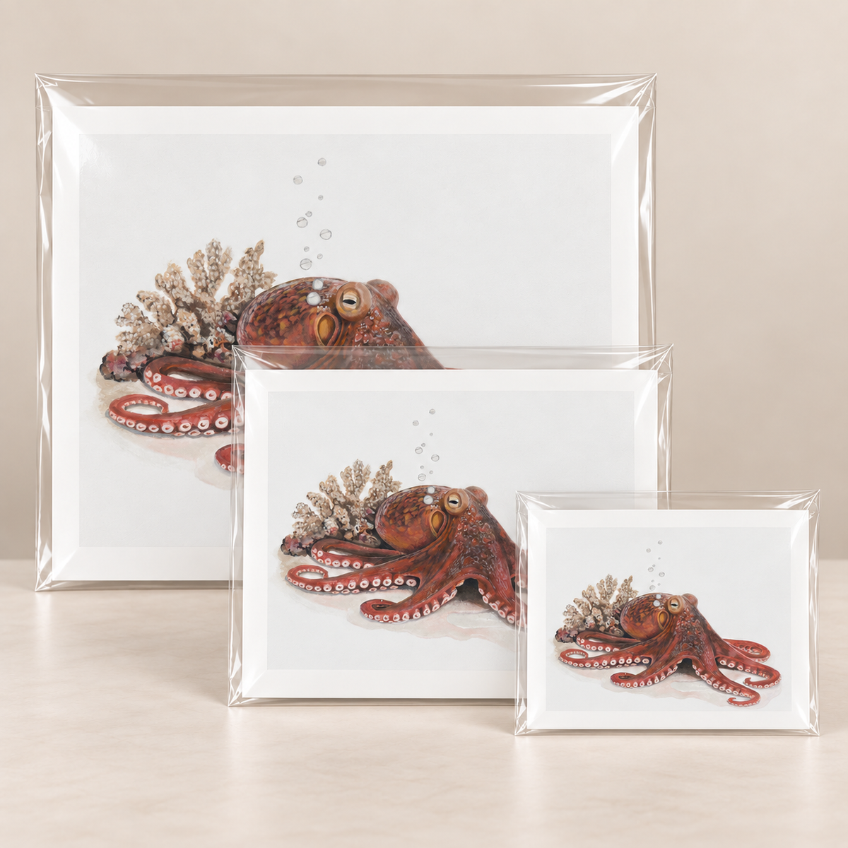 Quiet Intelligence Octopus Limited Edition Print | Wildlife Art by Arco