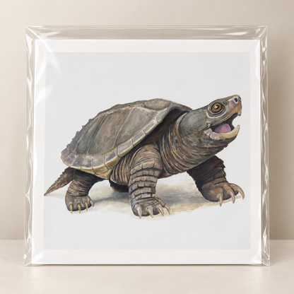 Old Soul Original Limited Edition Print | Wildlife Art by Arco