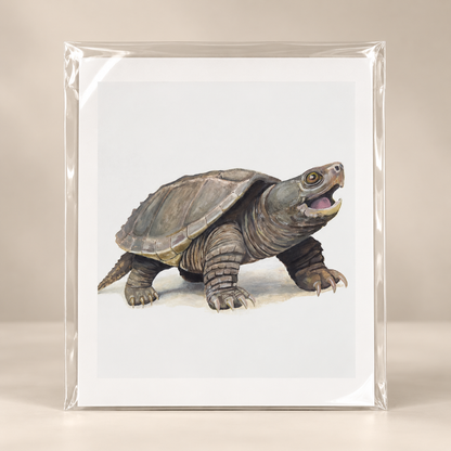 Old Soul Original Limited Edition Print | Wildlife Art by Arco